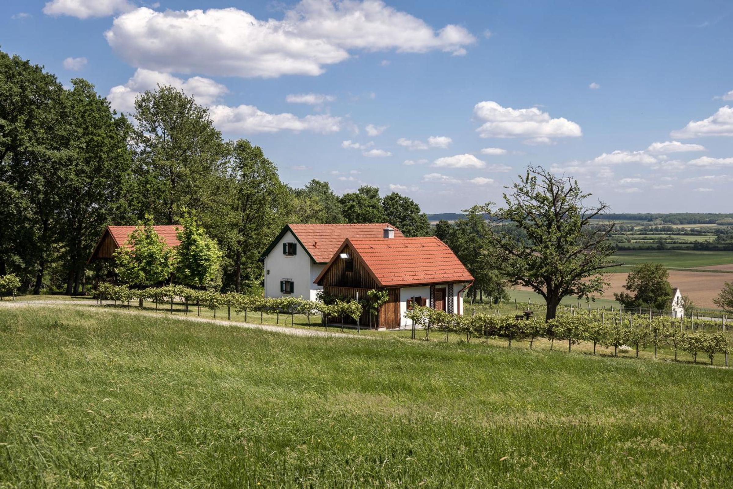 Kellerstöckl Postrumer Weinberg 49