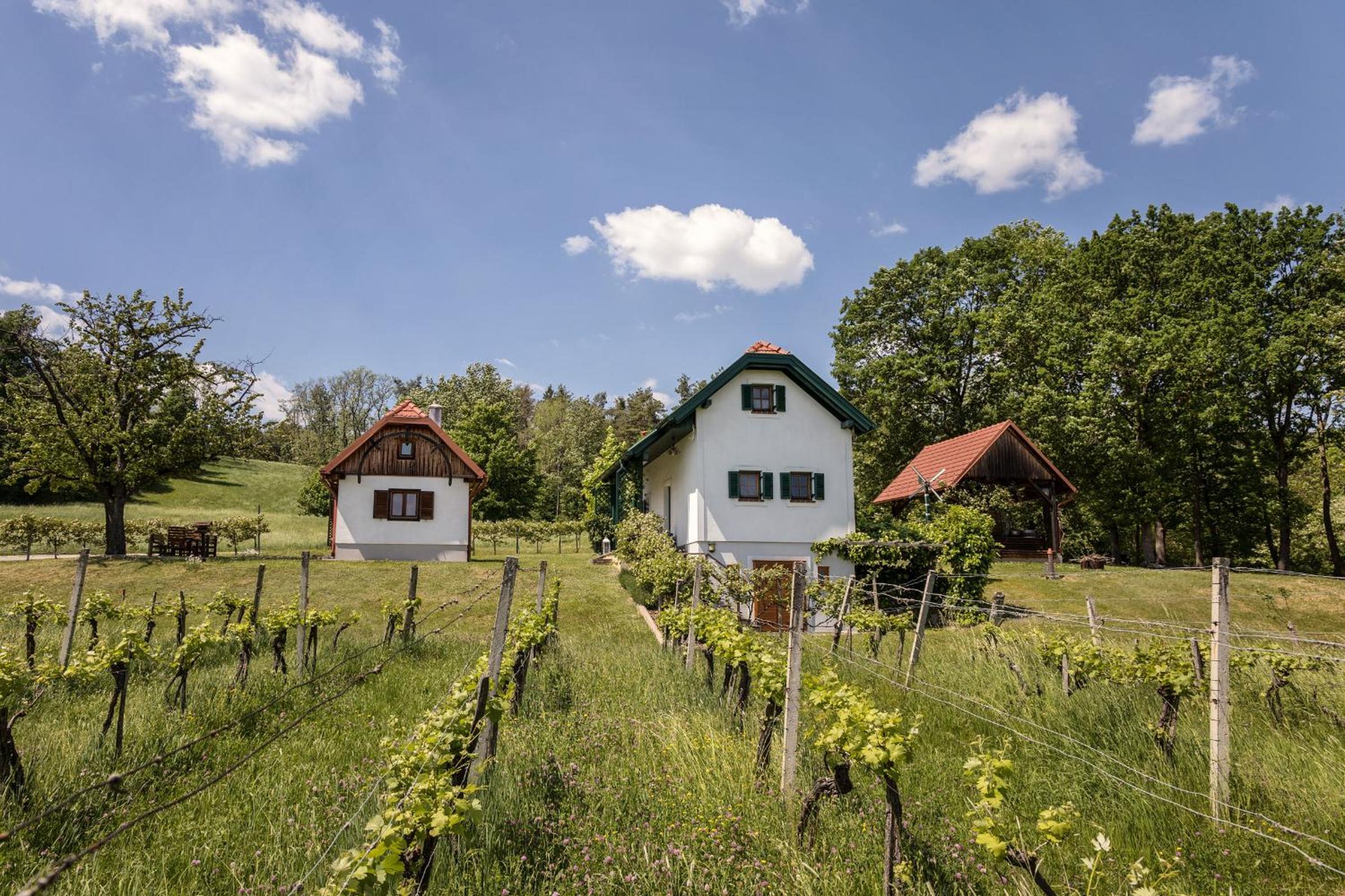 Kellerstöckl Postrumer Weinberg 49