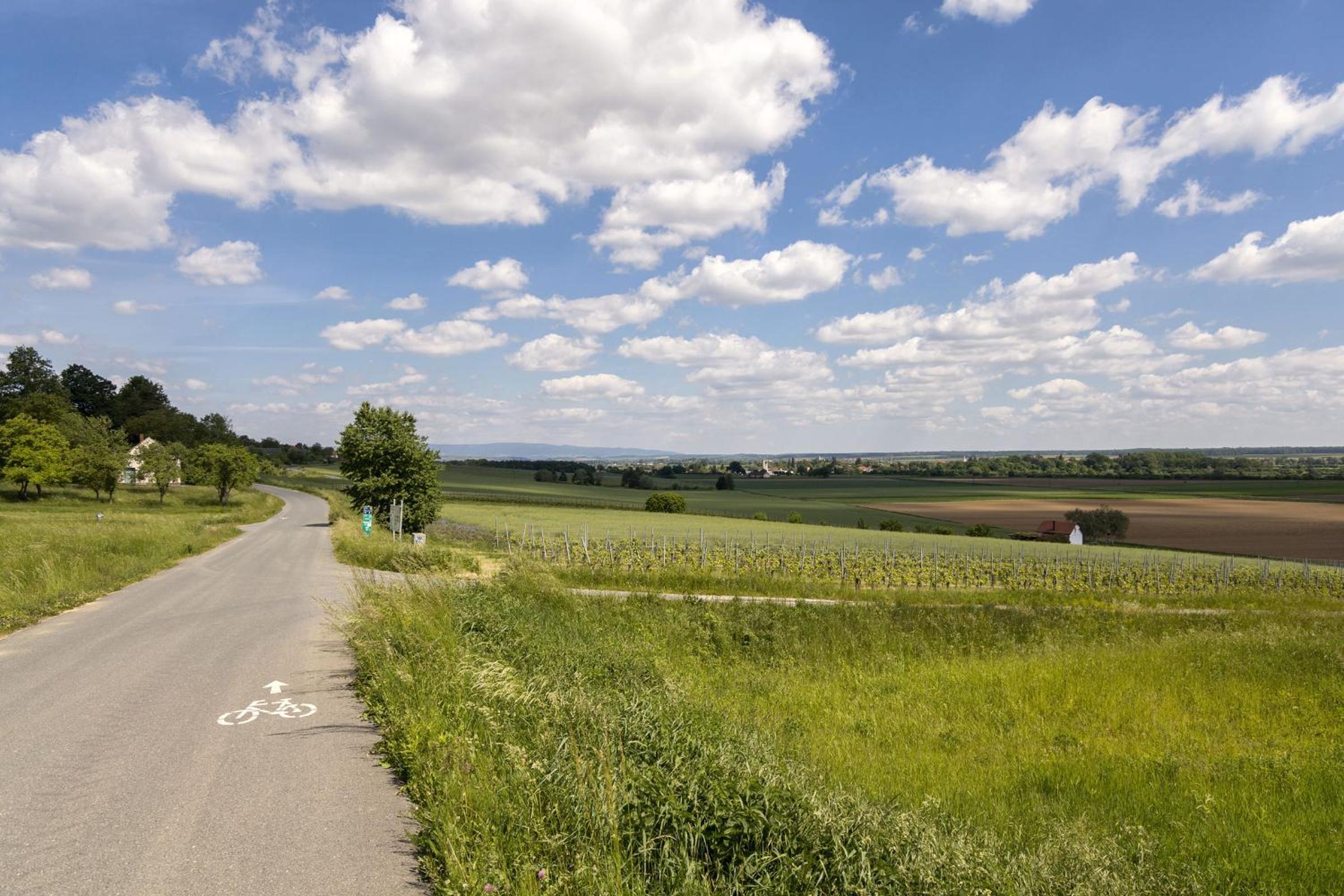 Kellerstöckl Postrumer Weinberg 49