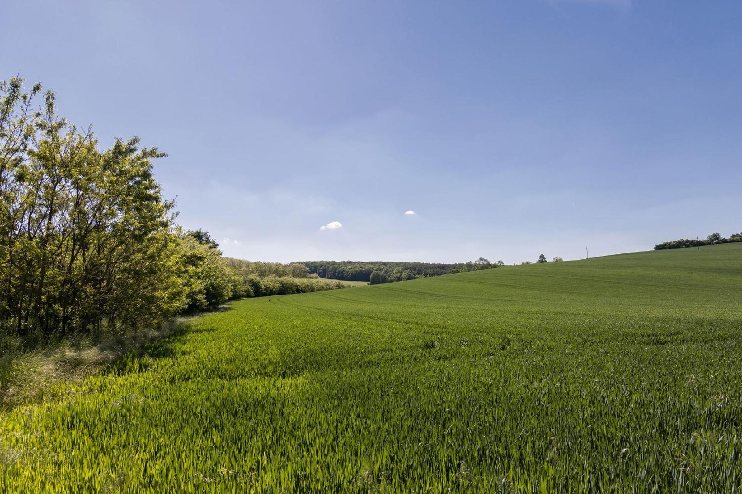 Kellerstöckl Postrumer Weinberg 49