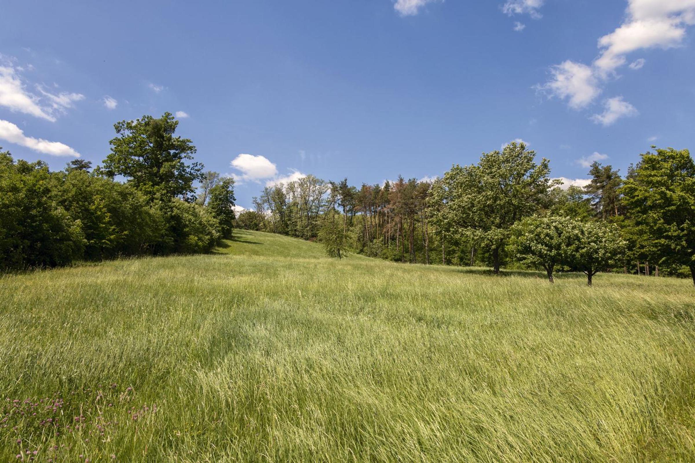 Kellerstöckl Postrumer Weinberg 49