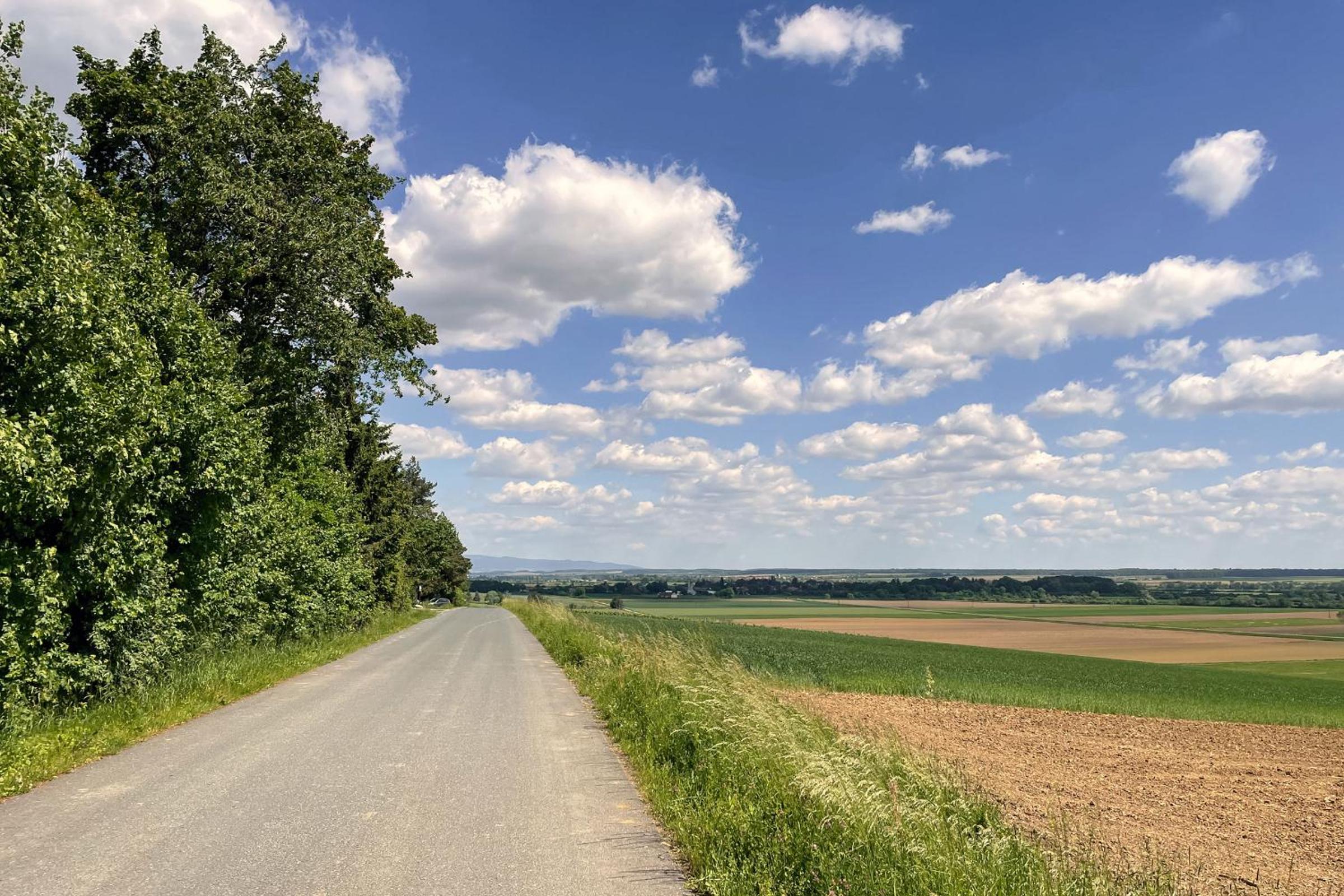 Kellerstöckl Postrumer Weinberg 48