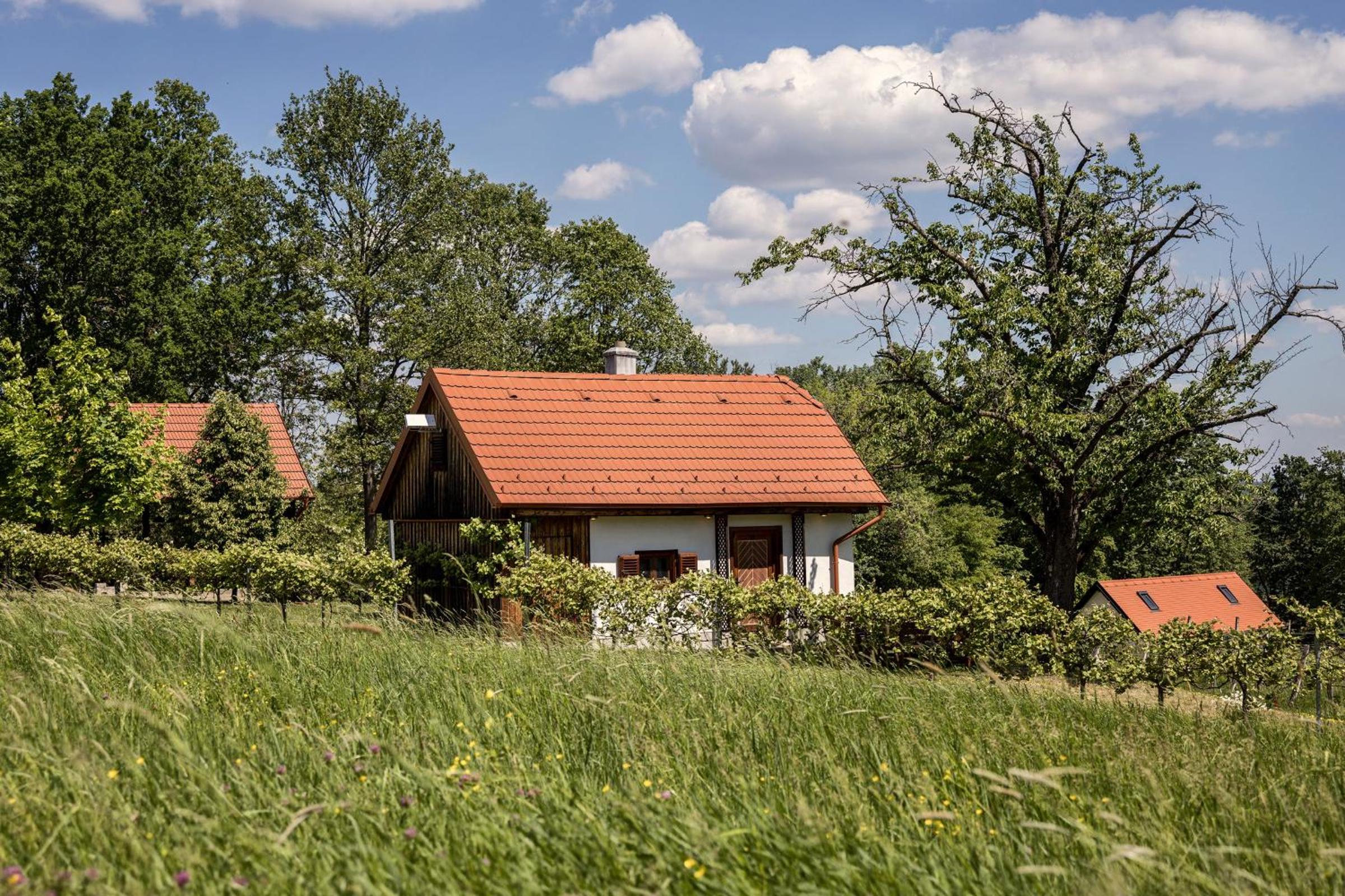 Kellerstöckl Postrumer Weinberg 48