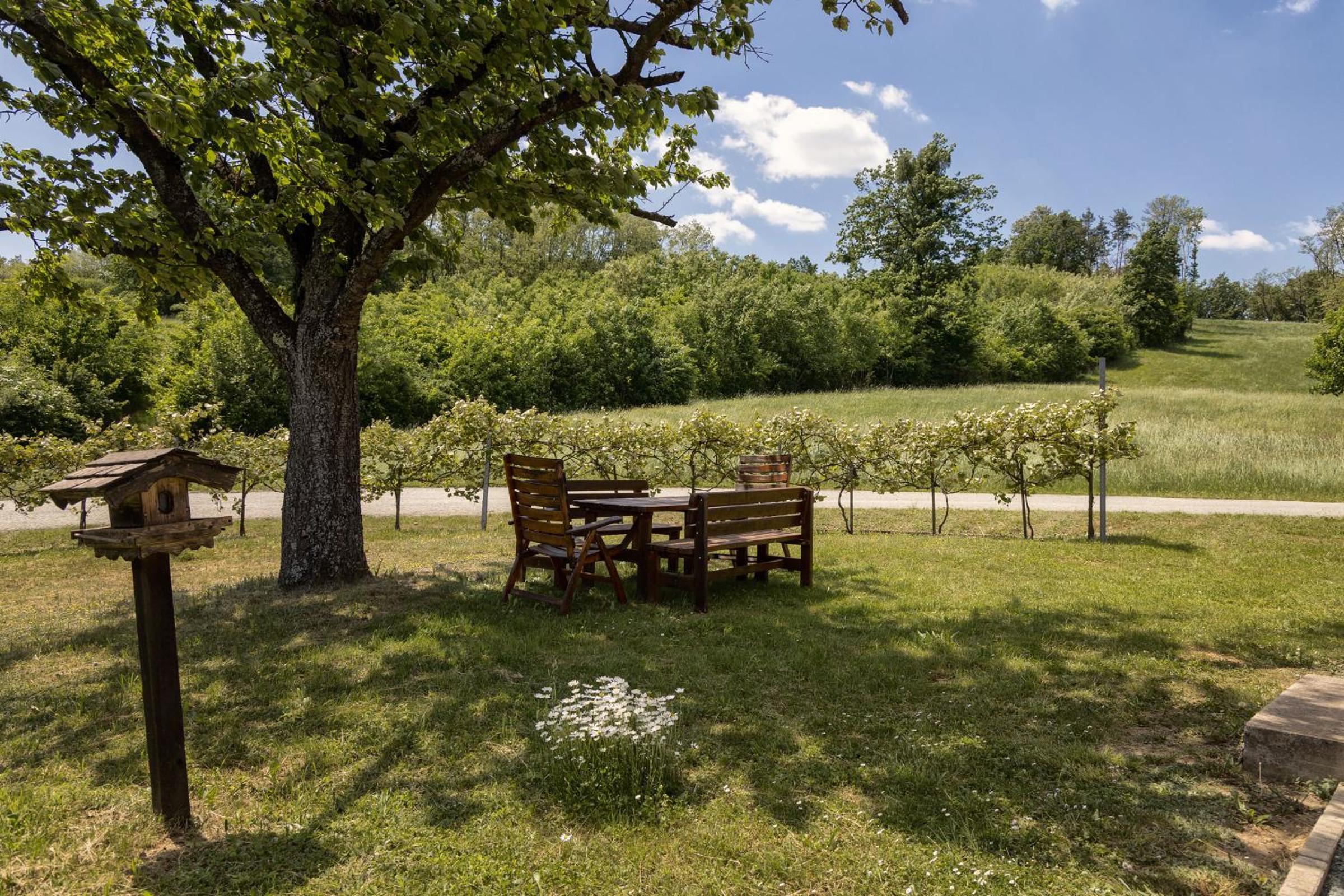 Kellerstöckl Postrumer Weinberg 48