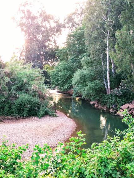 beit nofesh waiss