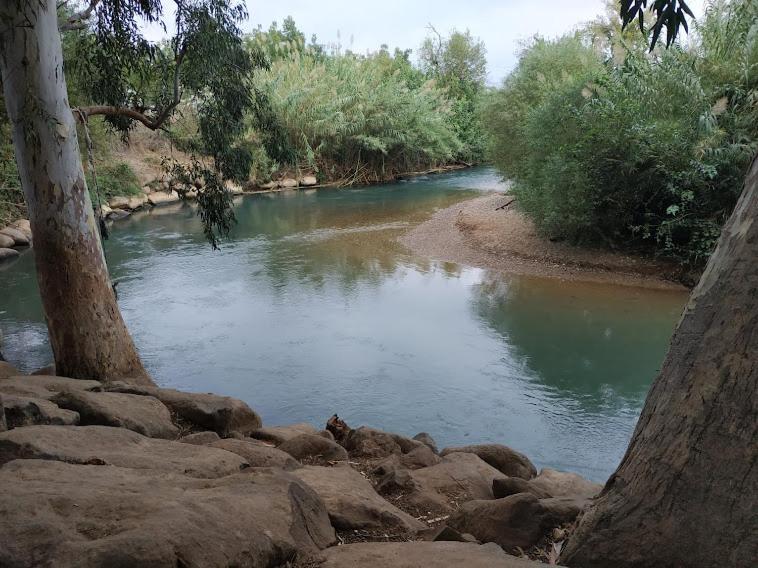 beit nofesh waiss