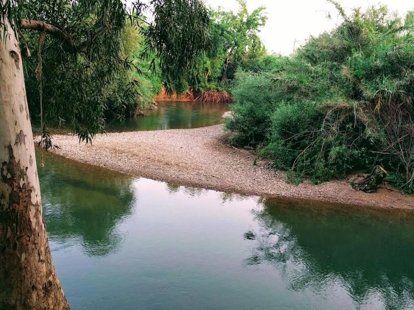 beit nofesh waiss