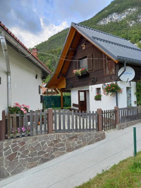 Photo 31