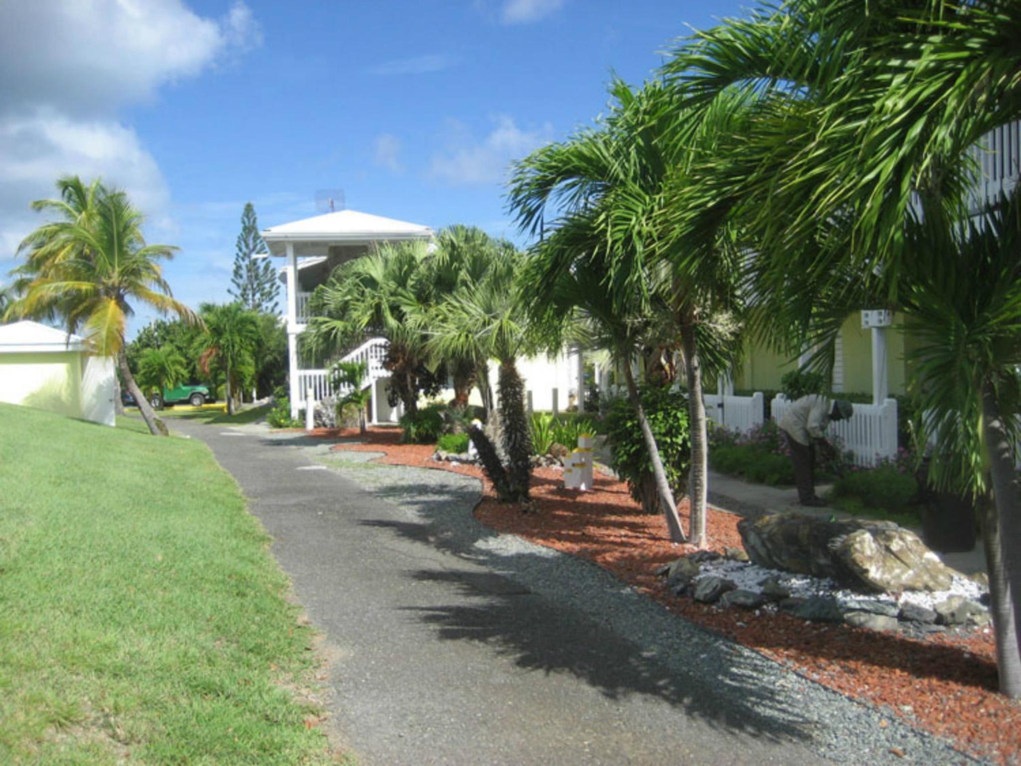 Photo 25