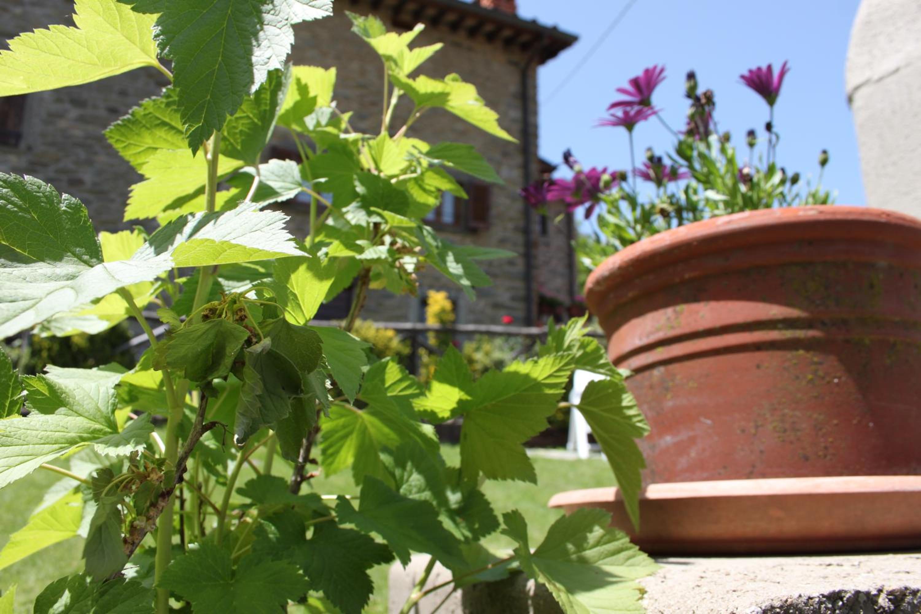 Casa Vacanze Le Antiche Pietre