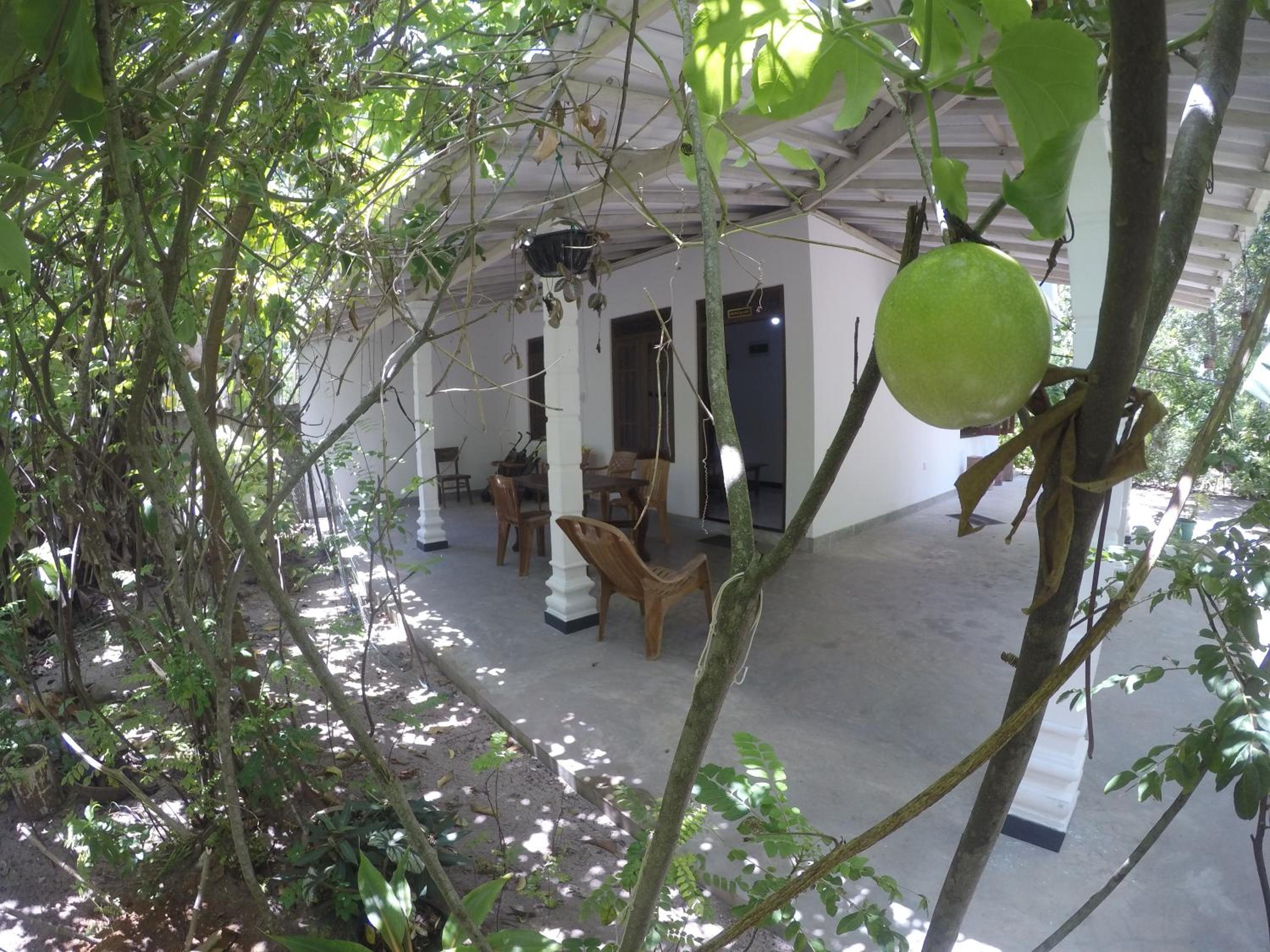 PIGEON HOUSE KABALANA