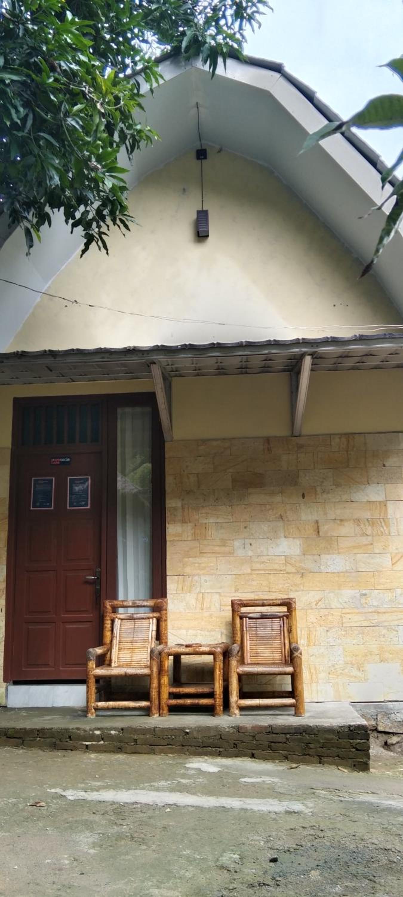 Photo 133