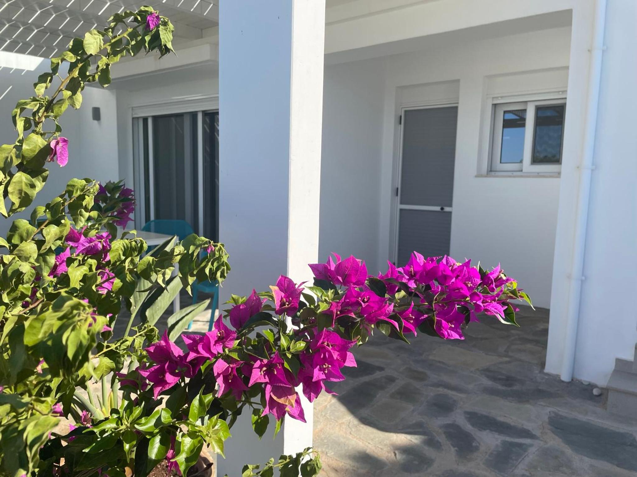 Makrigialos Long Beach Villa 5 view 5
