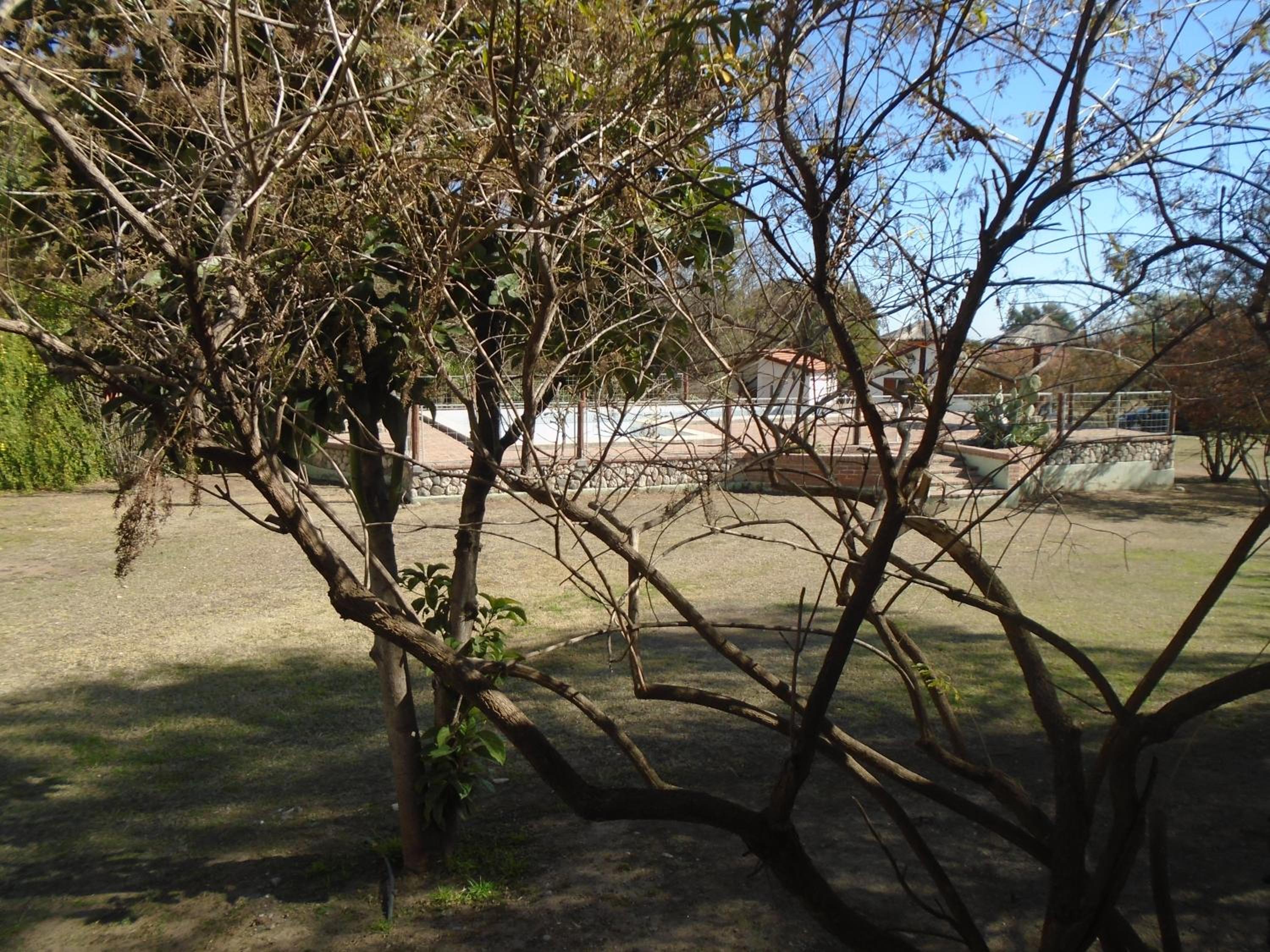 Aldea Blanca