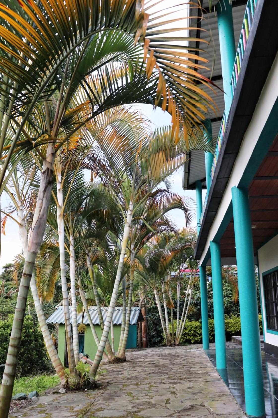 Solarte Hostel