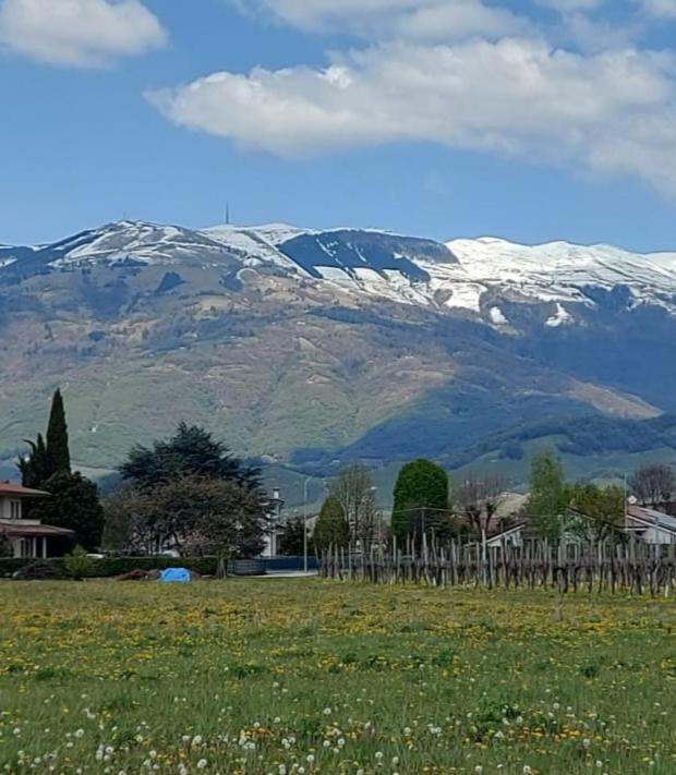 Locazione Turistica El Sghirlo
