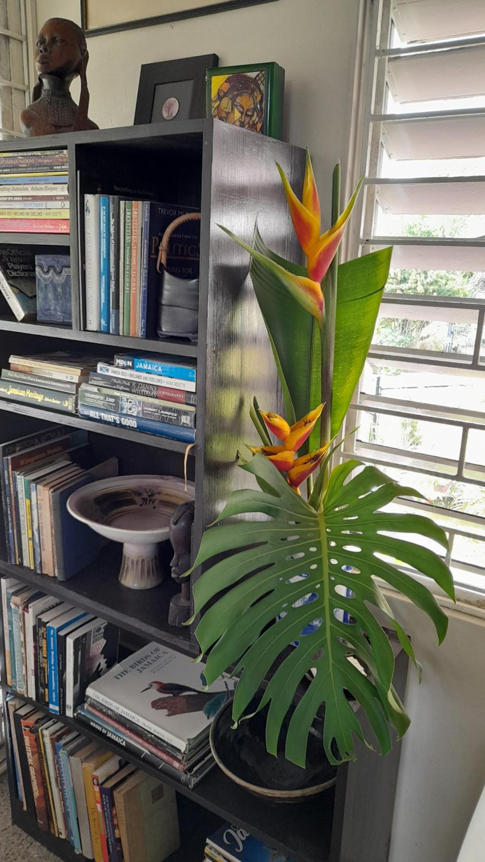 Neita's Nest
