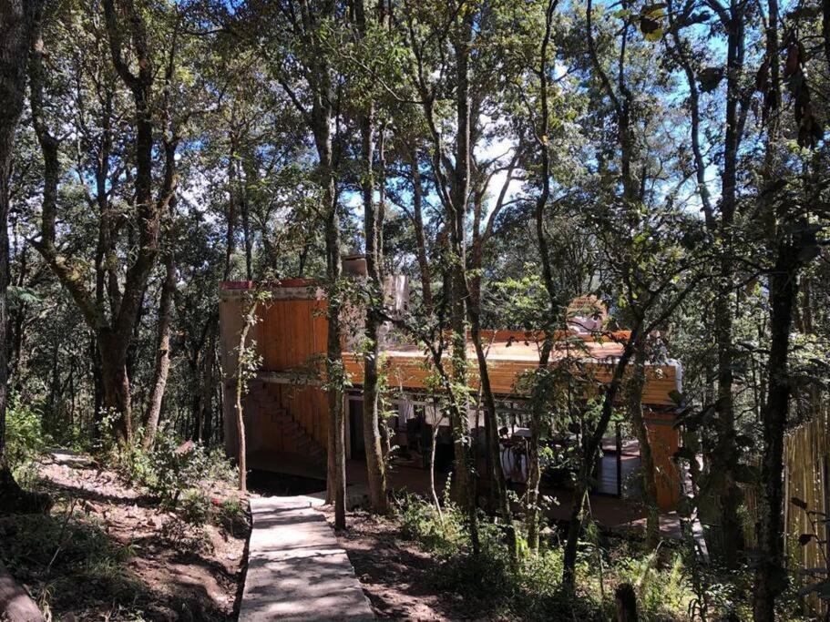 Chalet nordico enmedio del bosque view 4