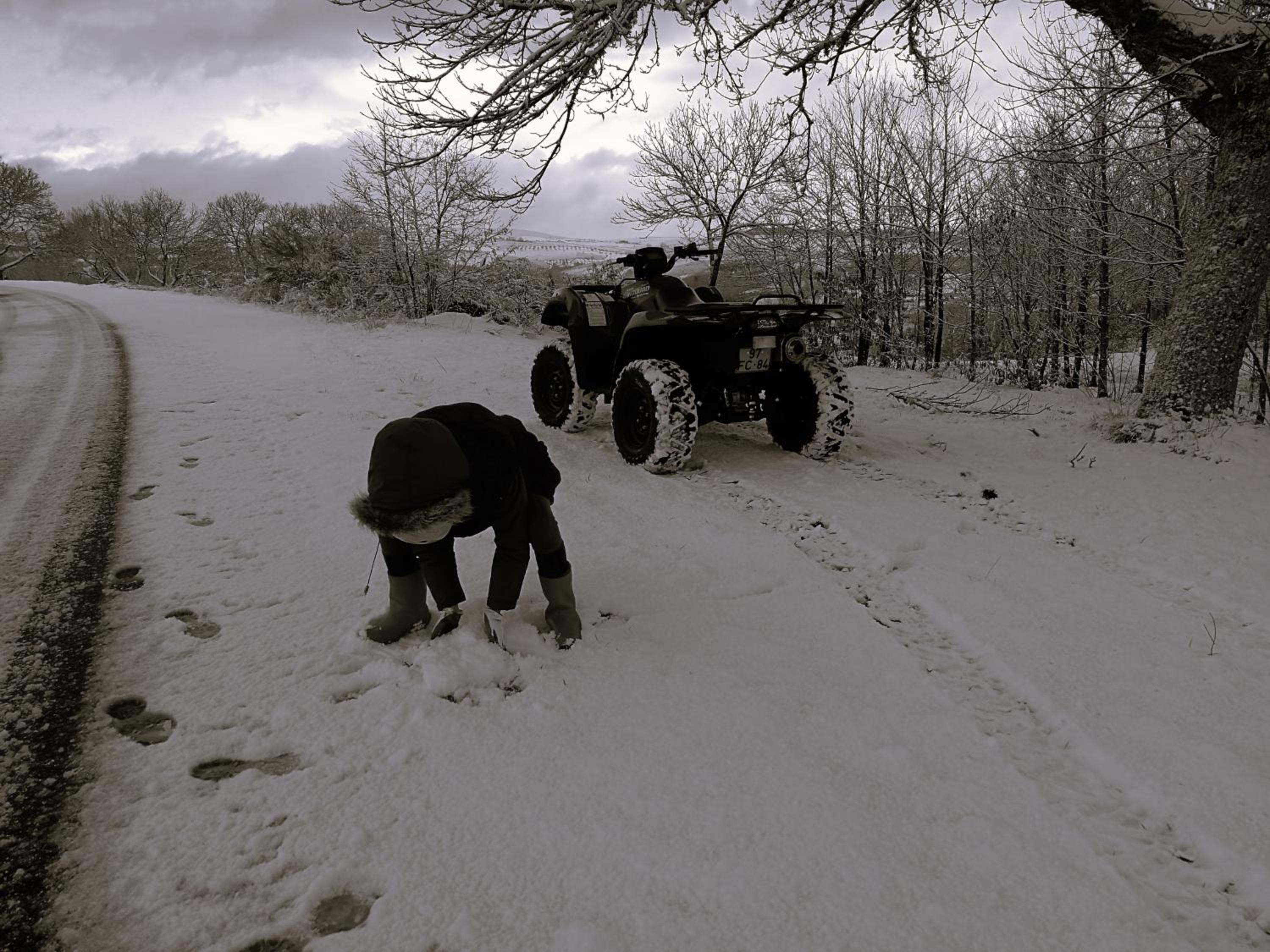 Photo 41