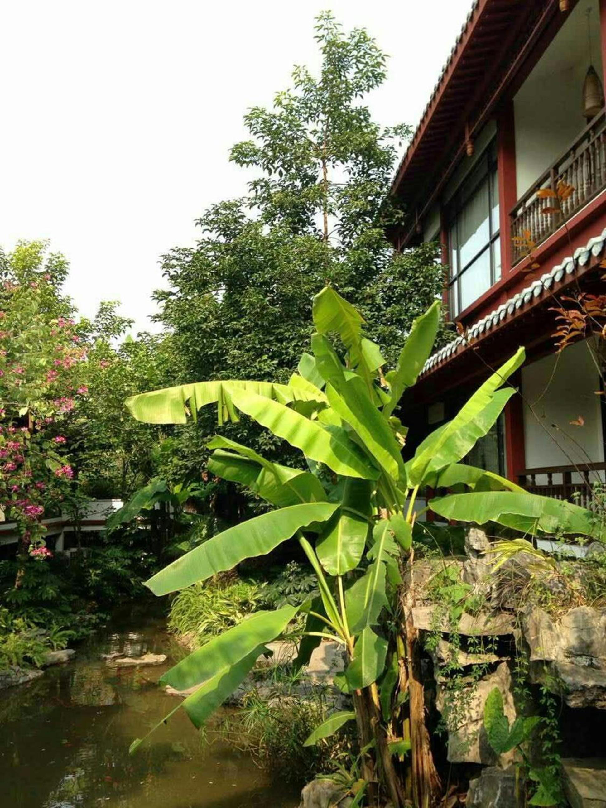 Guilin Zizhou Panorama Resort