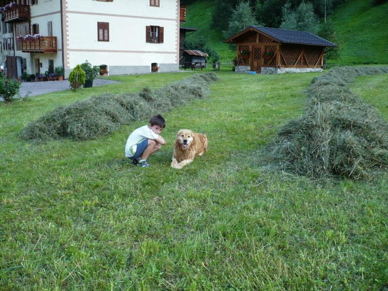 Photo 24