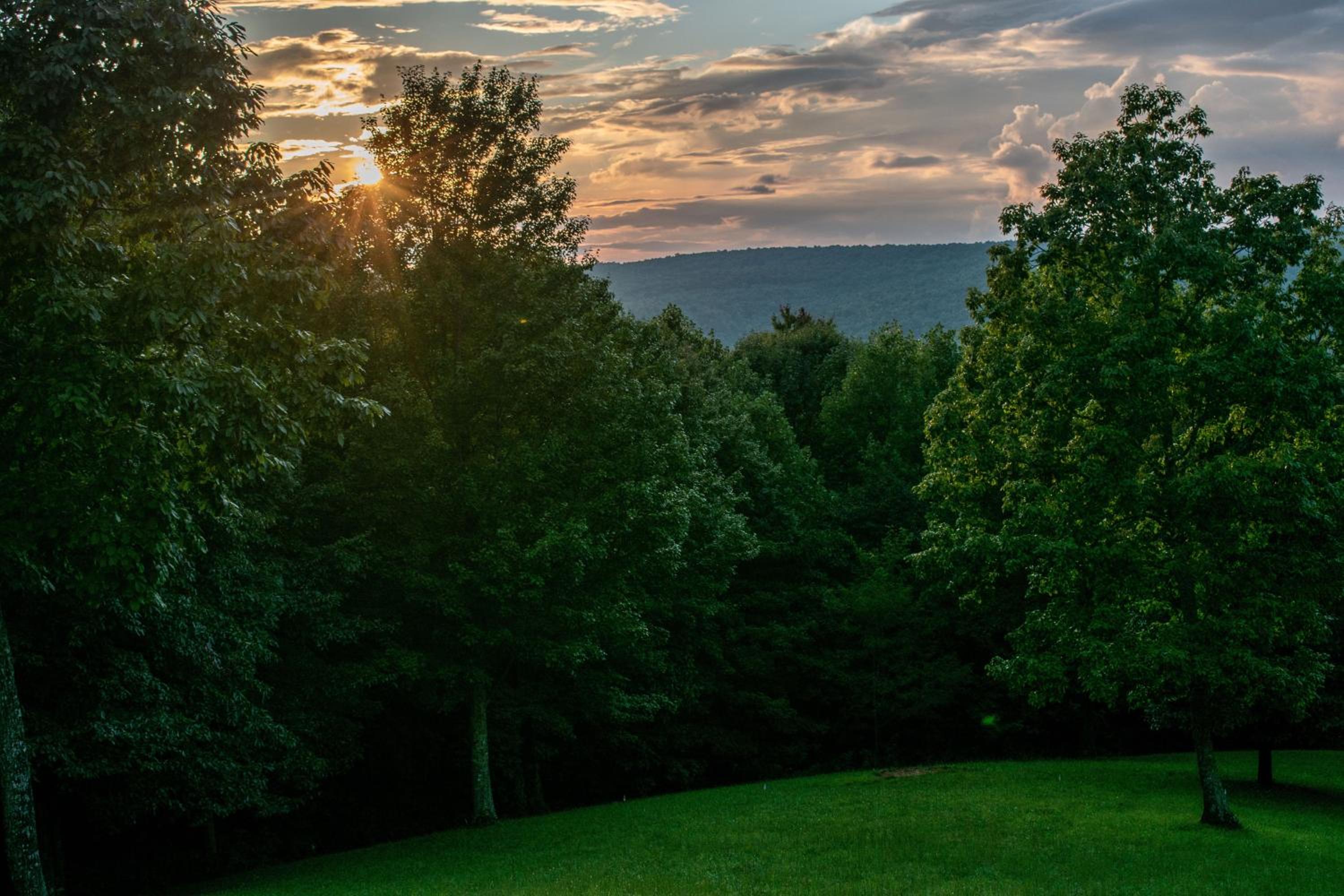 Treetop Hideaway at Barr5 Ranch view 4