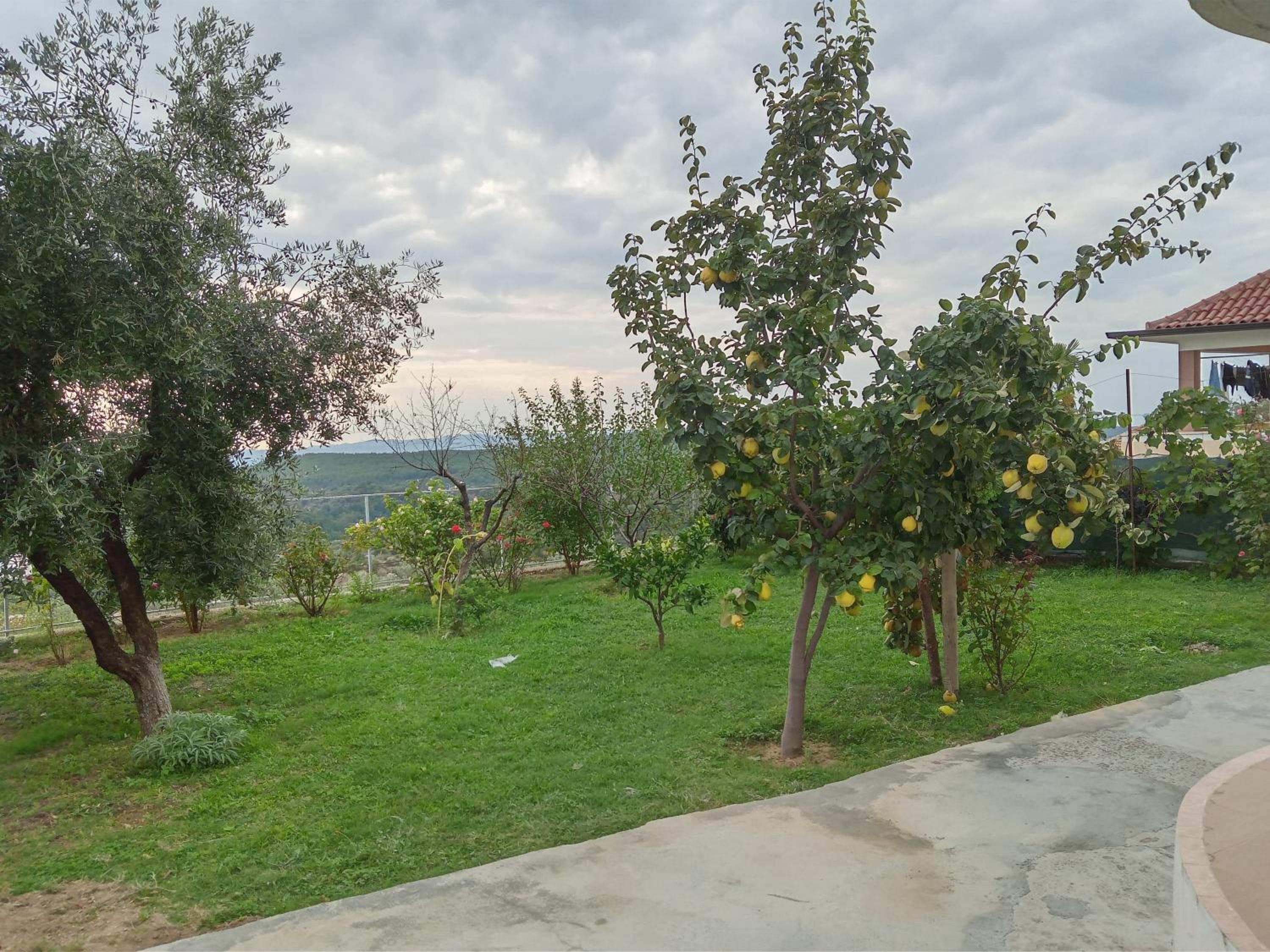 Meti Guest House