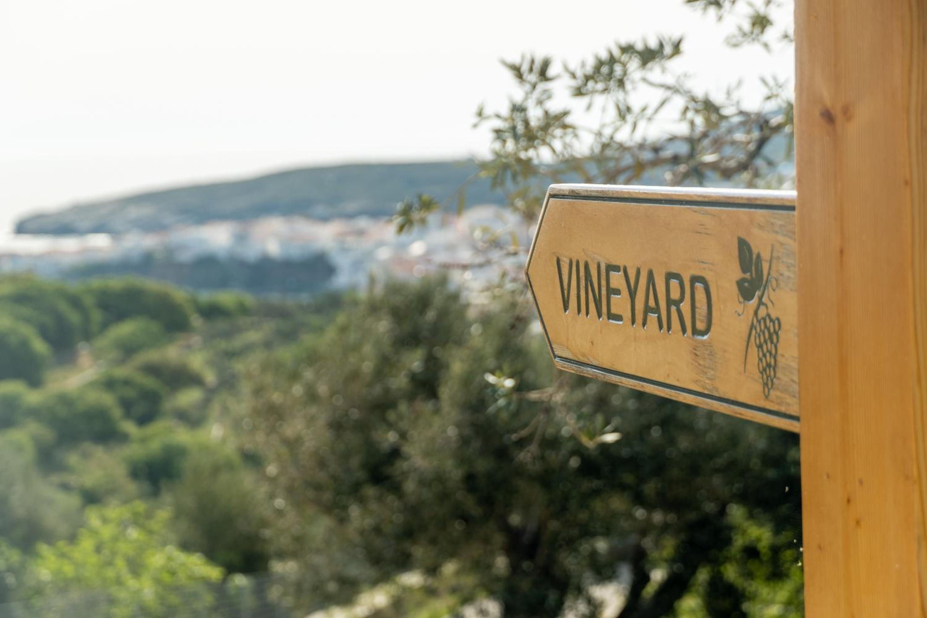 CYCLADIC WINERY SUITE