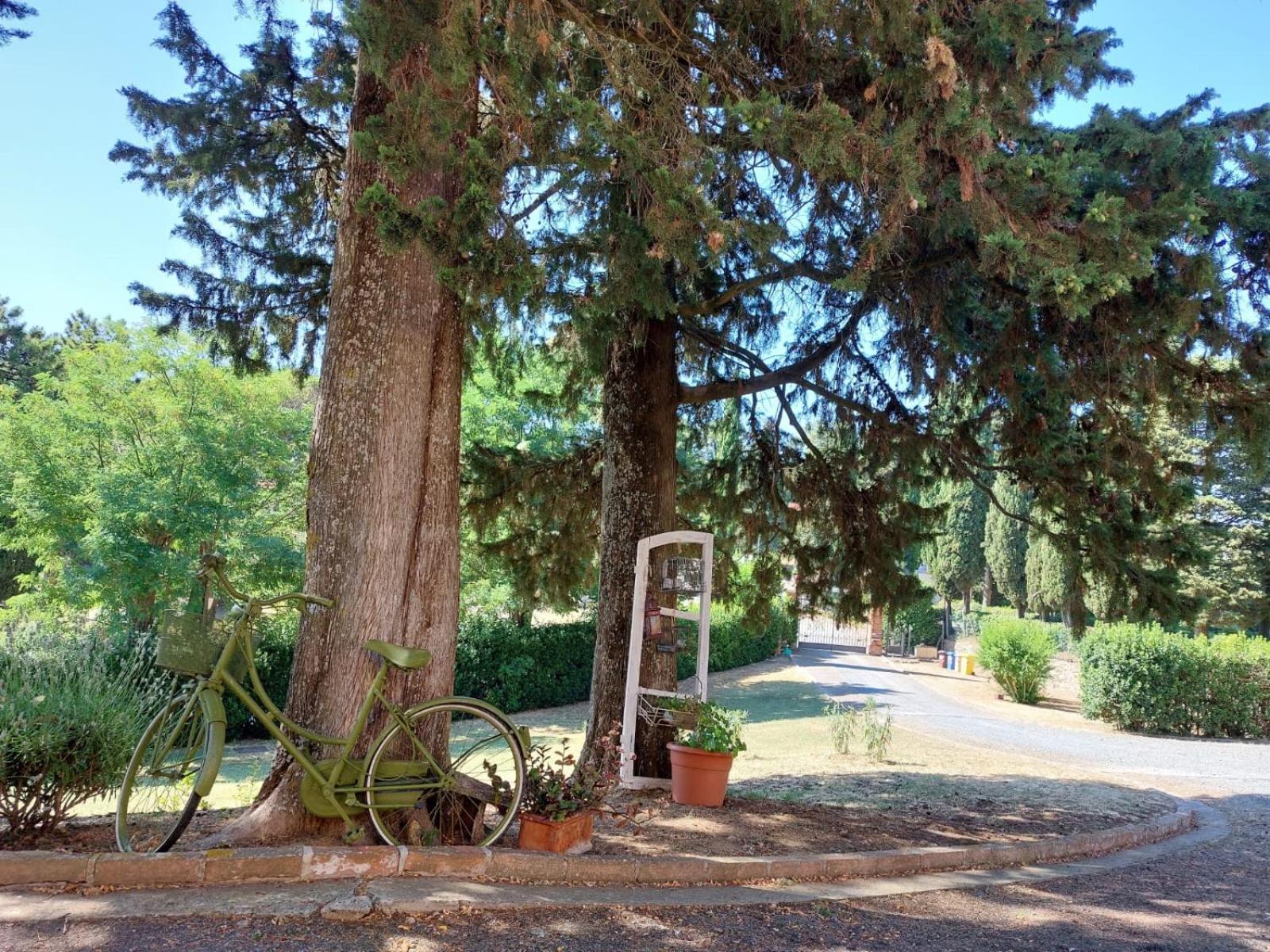 Casa Vacanze "L'Aione"