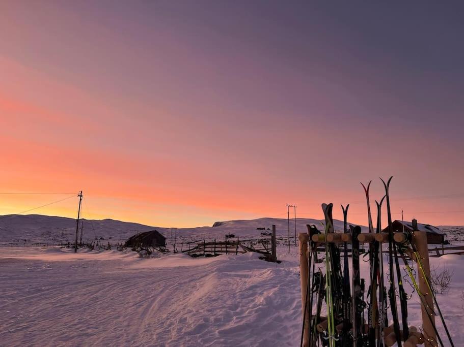 Seterhytte i Havsdalen view 3