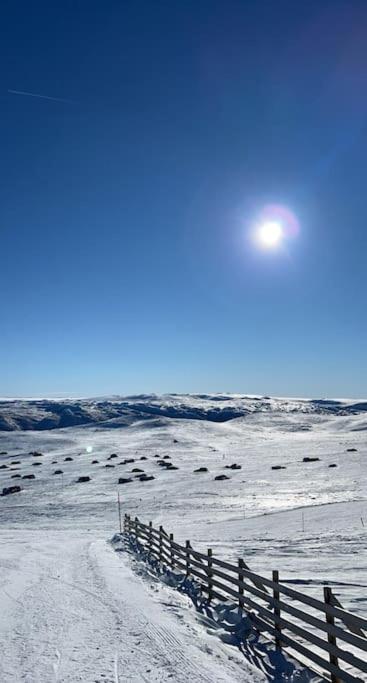 Seterhytte i Havsdalen view 2