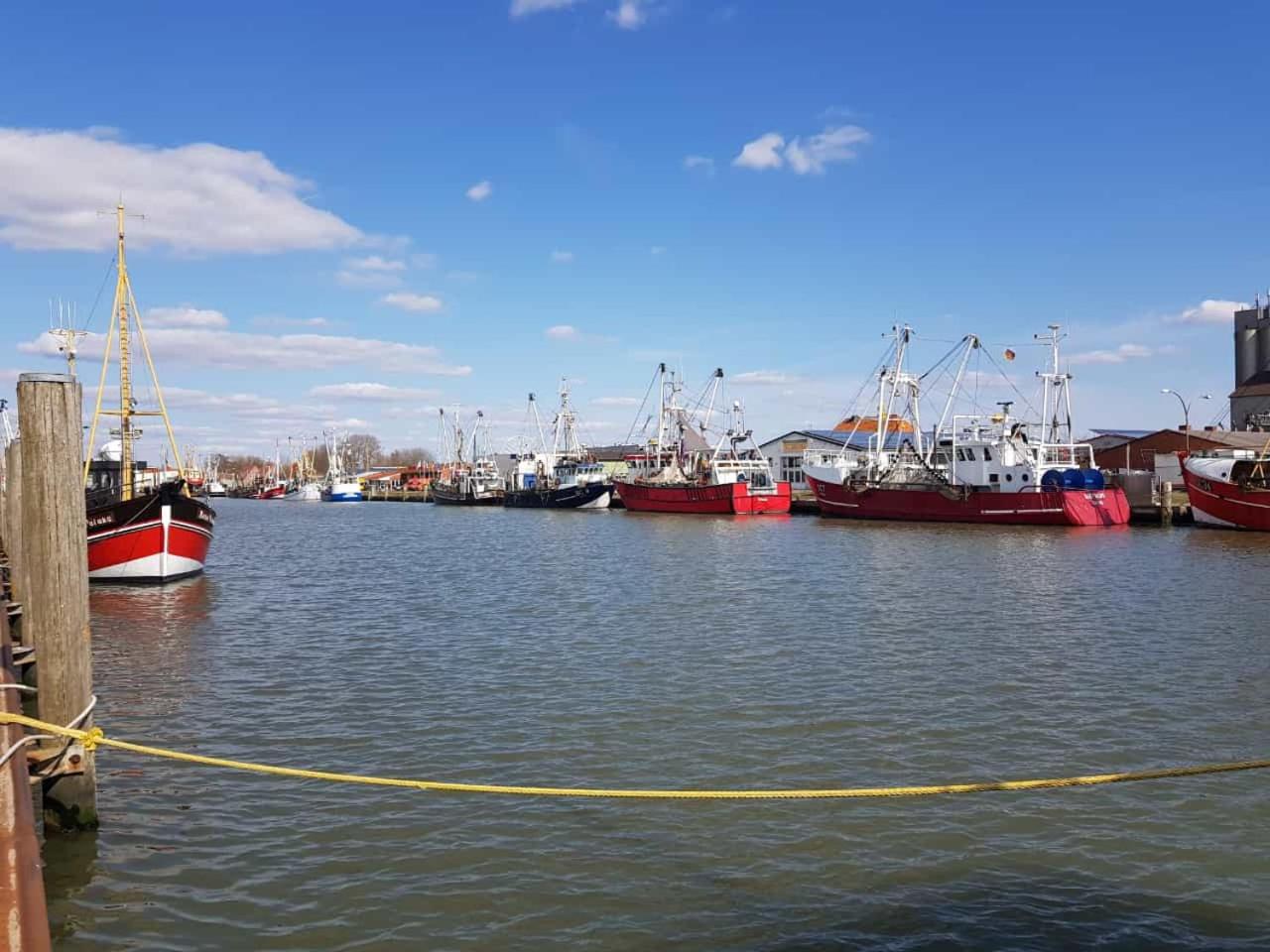 Kleine Hafenperle Büsum