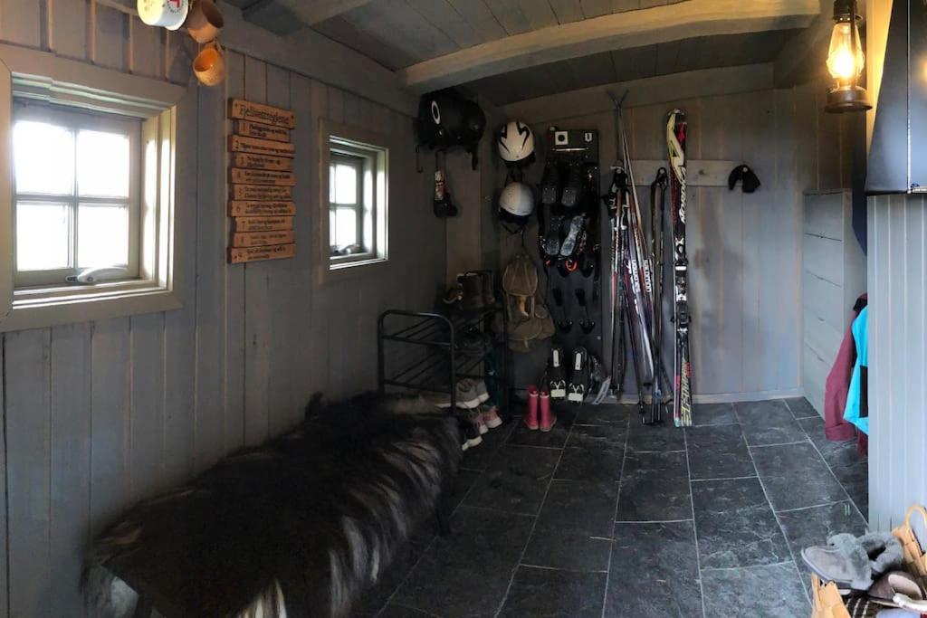Photo 11