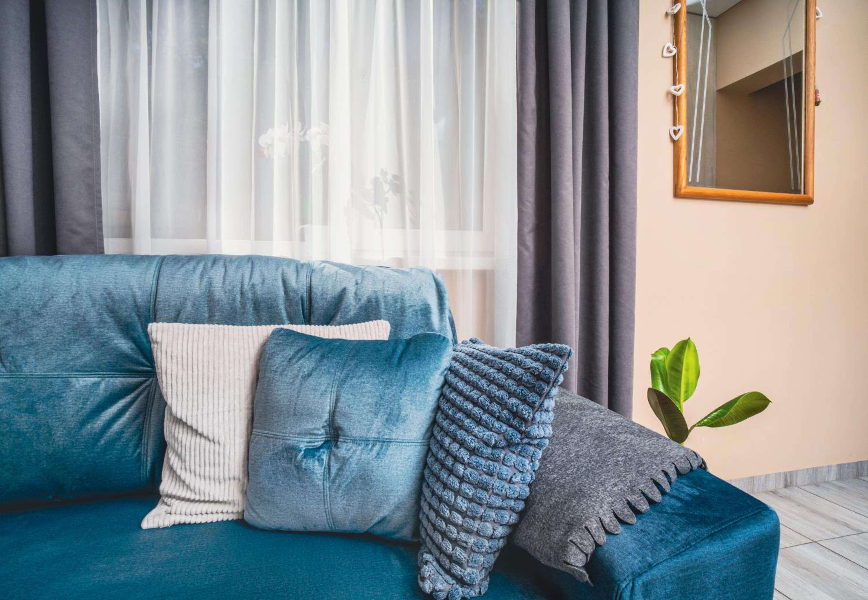Cozy Stay Apartment view 2