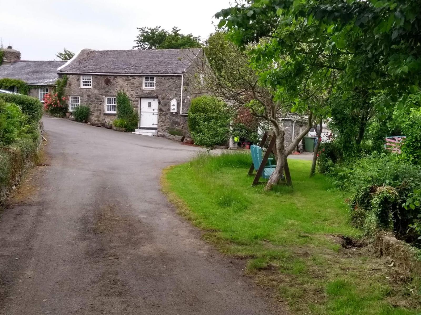 Pandy cymunod