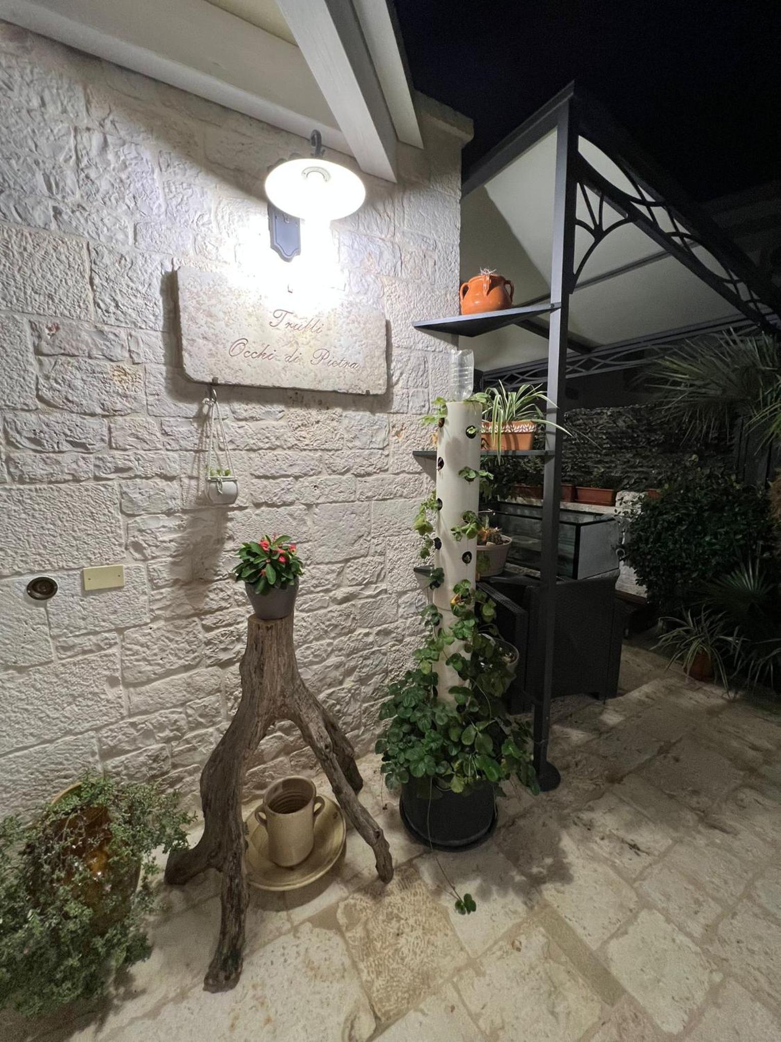 Photo 20