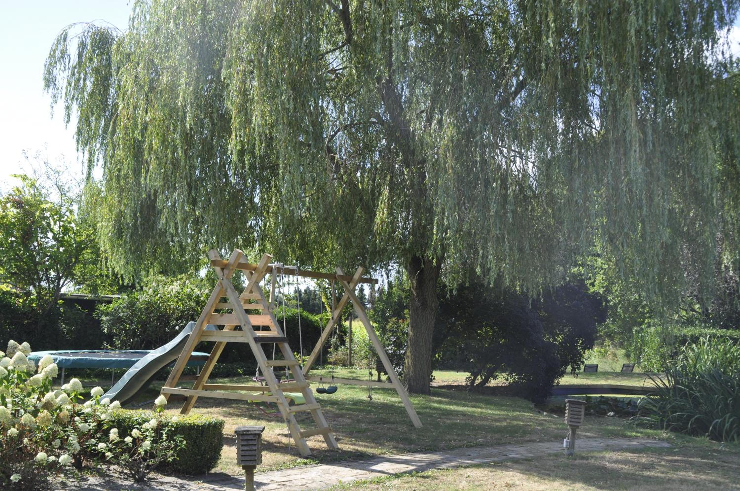 Photo 28