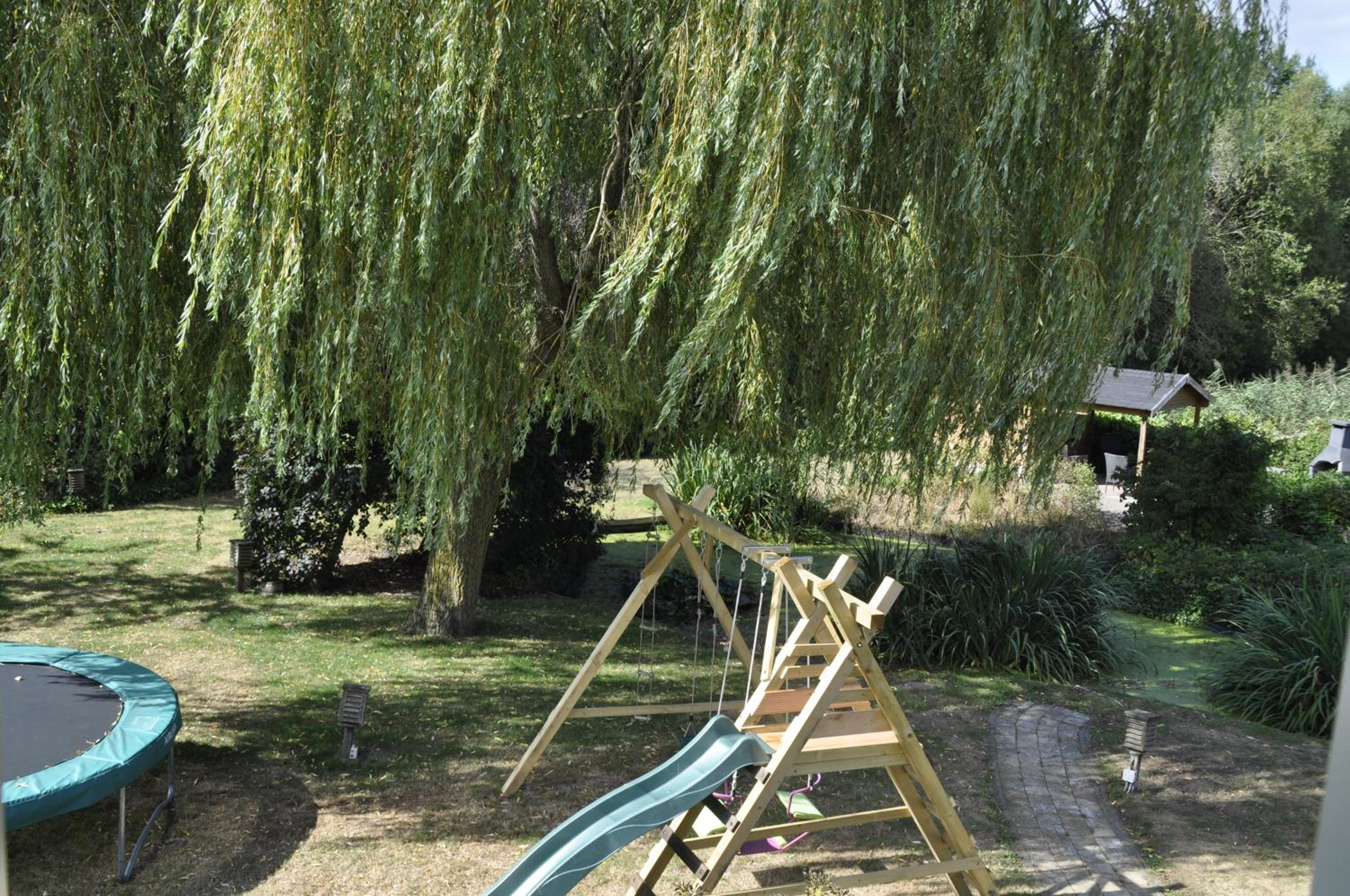 Photo 29