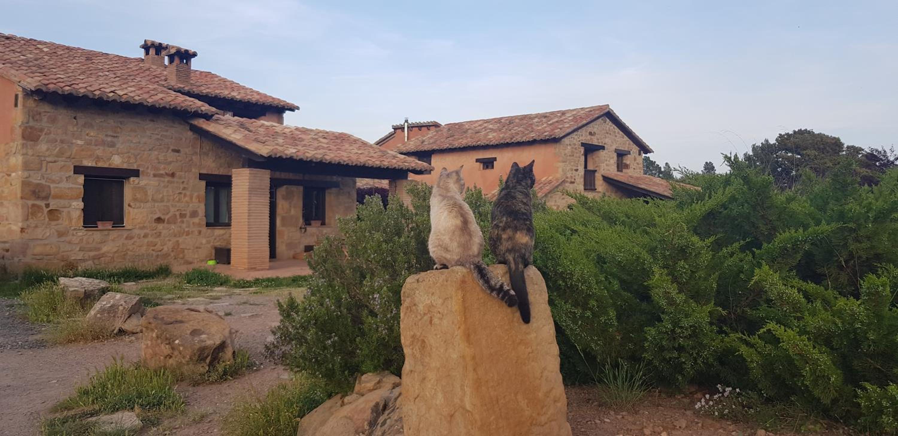 Masia los Toranes - Destino Starlight view 3