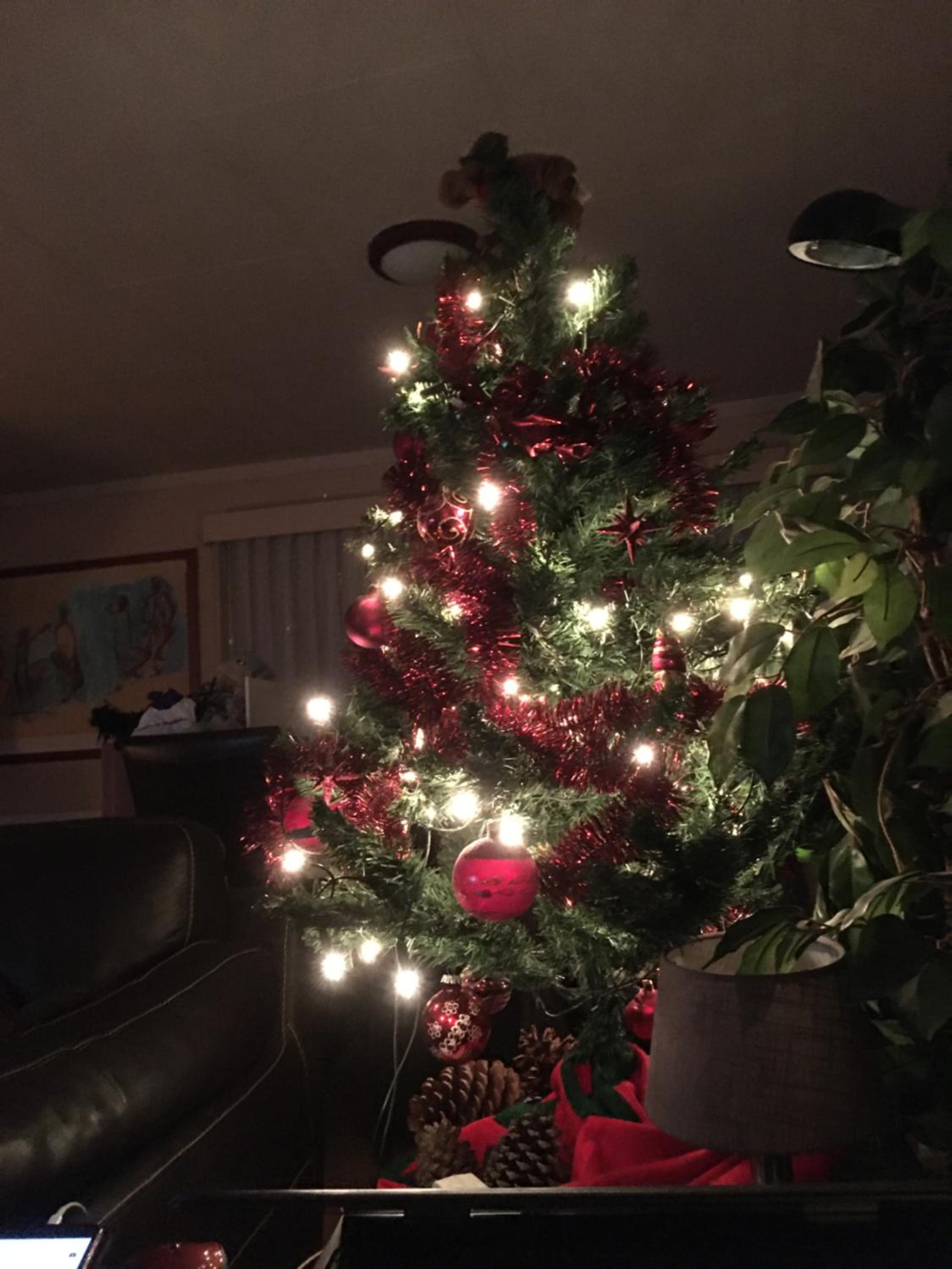 Photo 14