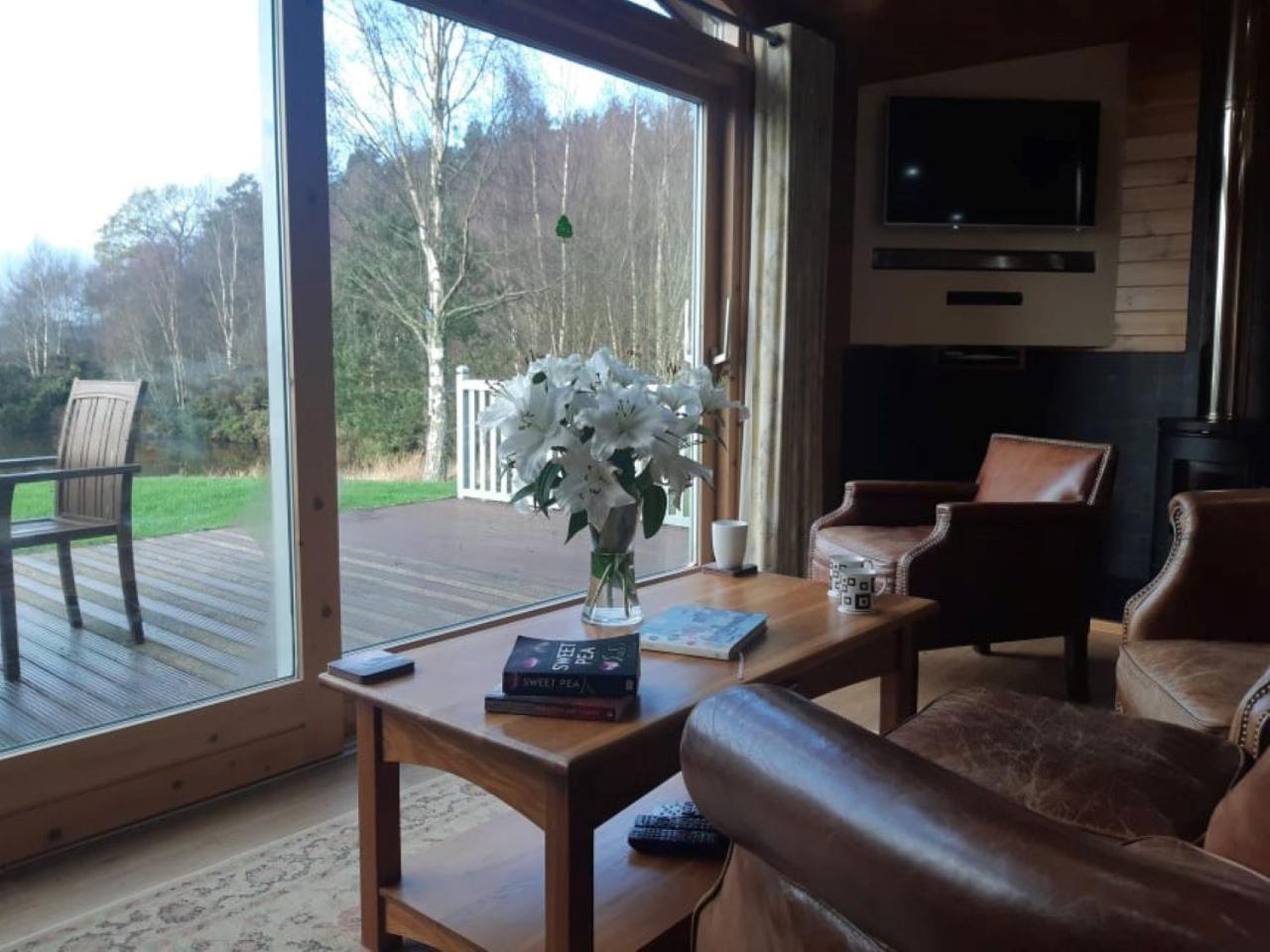 Fern Lodge - Luxury Lodge with steamroom in Perthshire view 4