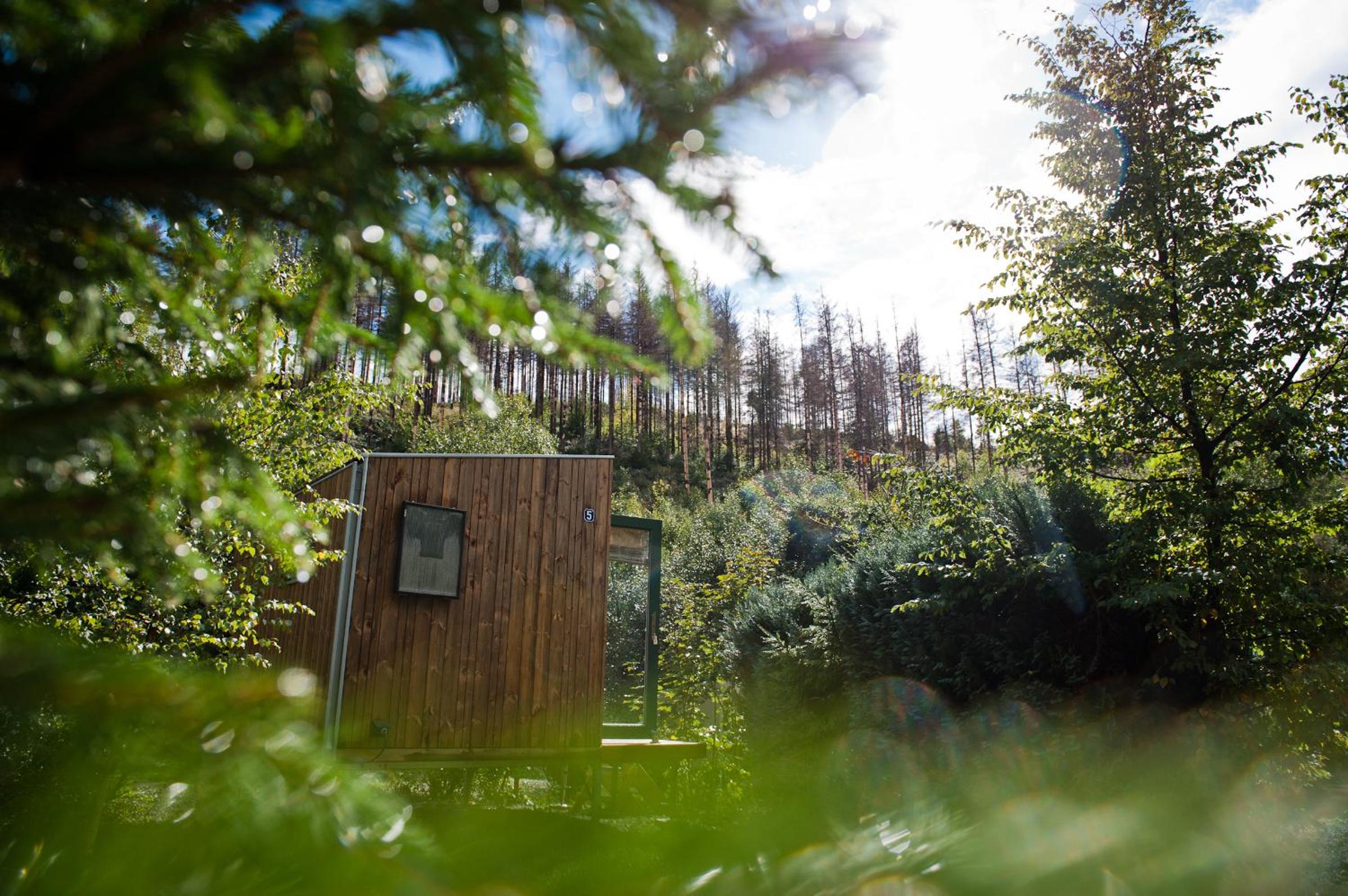 Sleep Space 25 - Green Tiny Village Harz