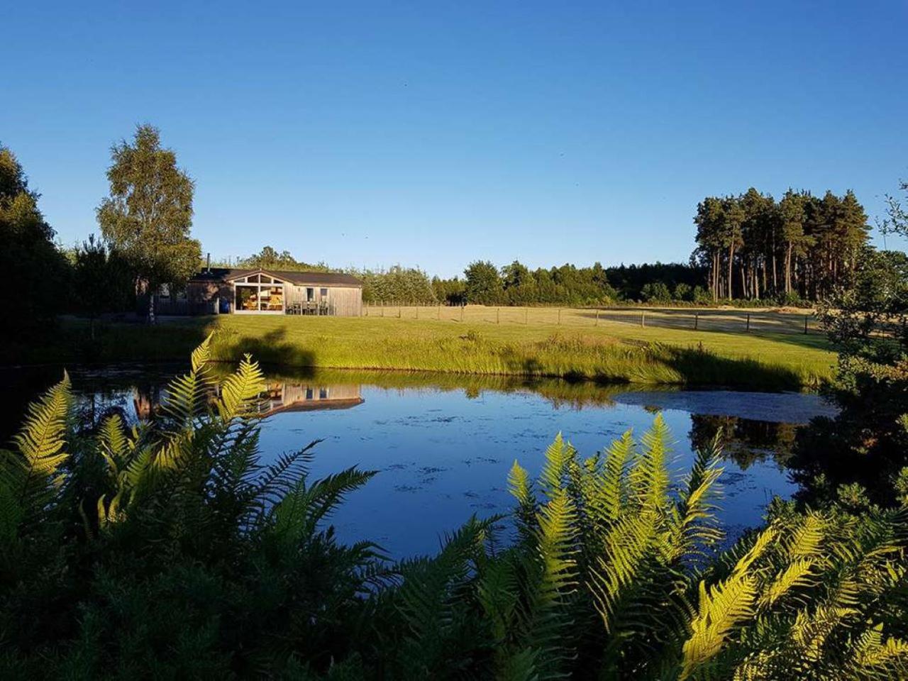 Fern Lodge - Luxury Lodge with steamroom in Perthshire view 2