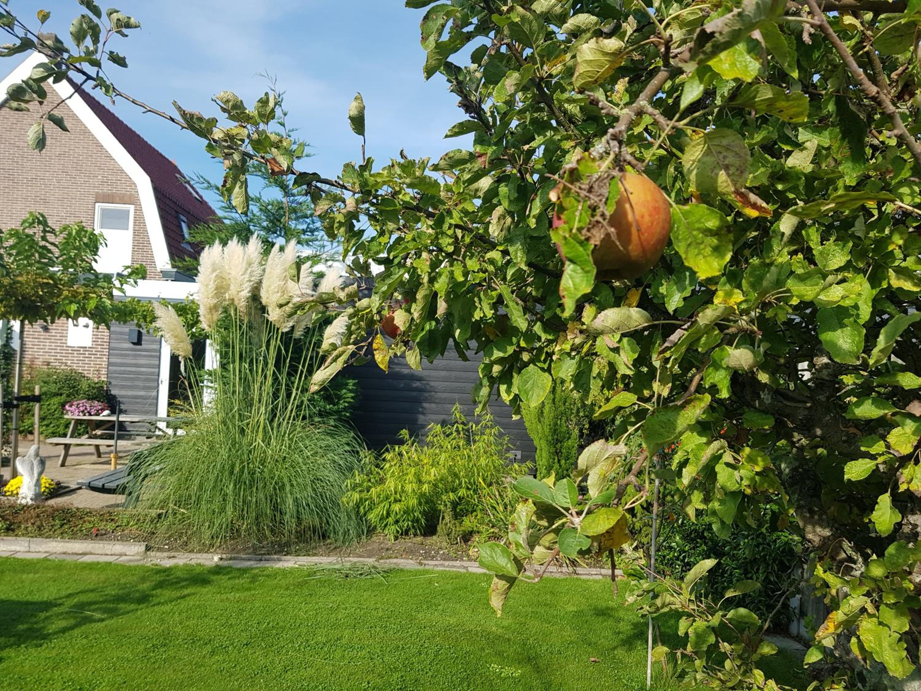B&B WELKOM Zierikzee view 5