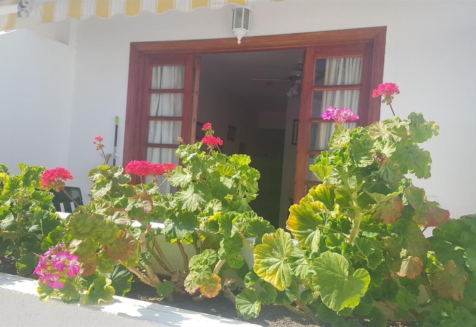 Las Americas beach apartment