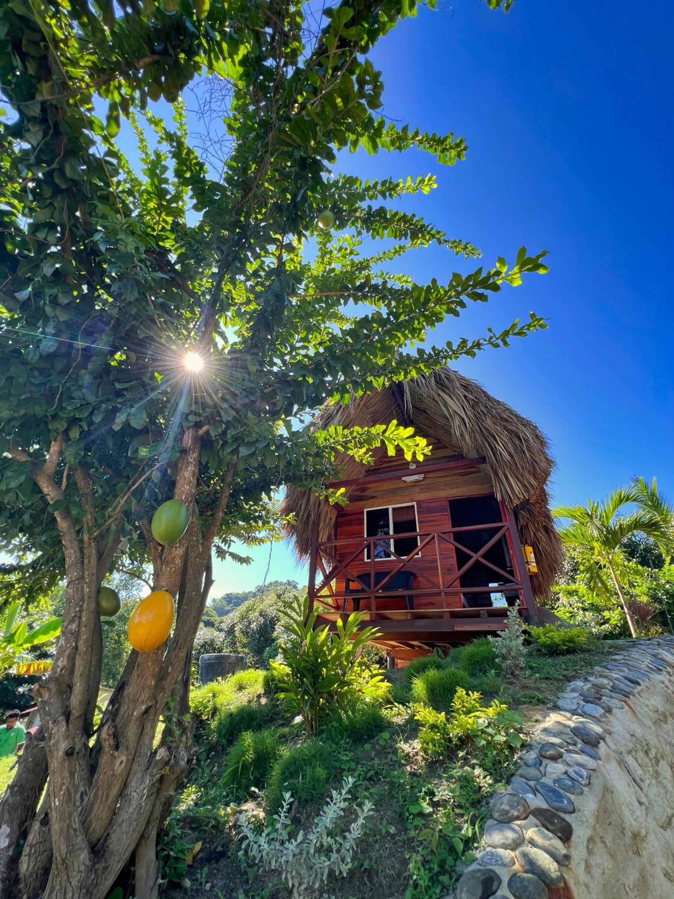 Cabañas Orlando y Más Na' Tayrona