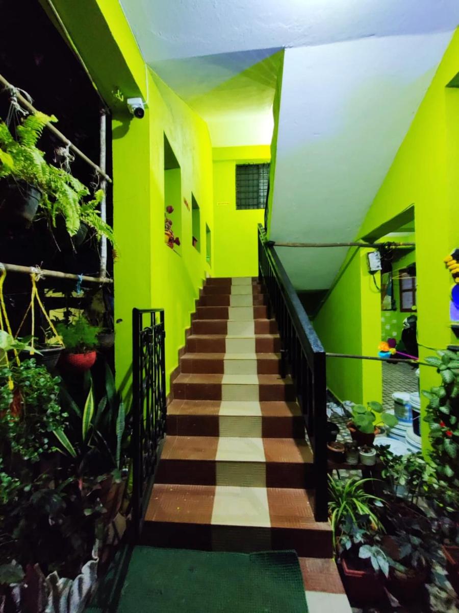 Tropical Inn view 2