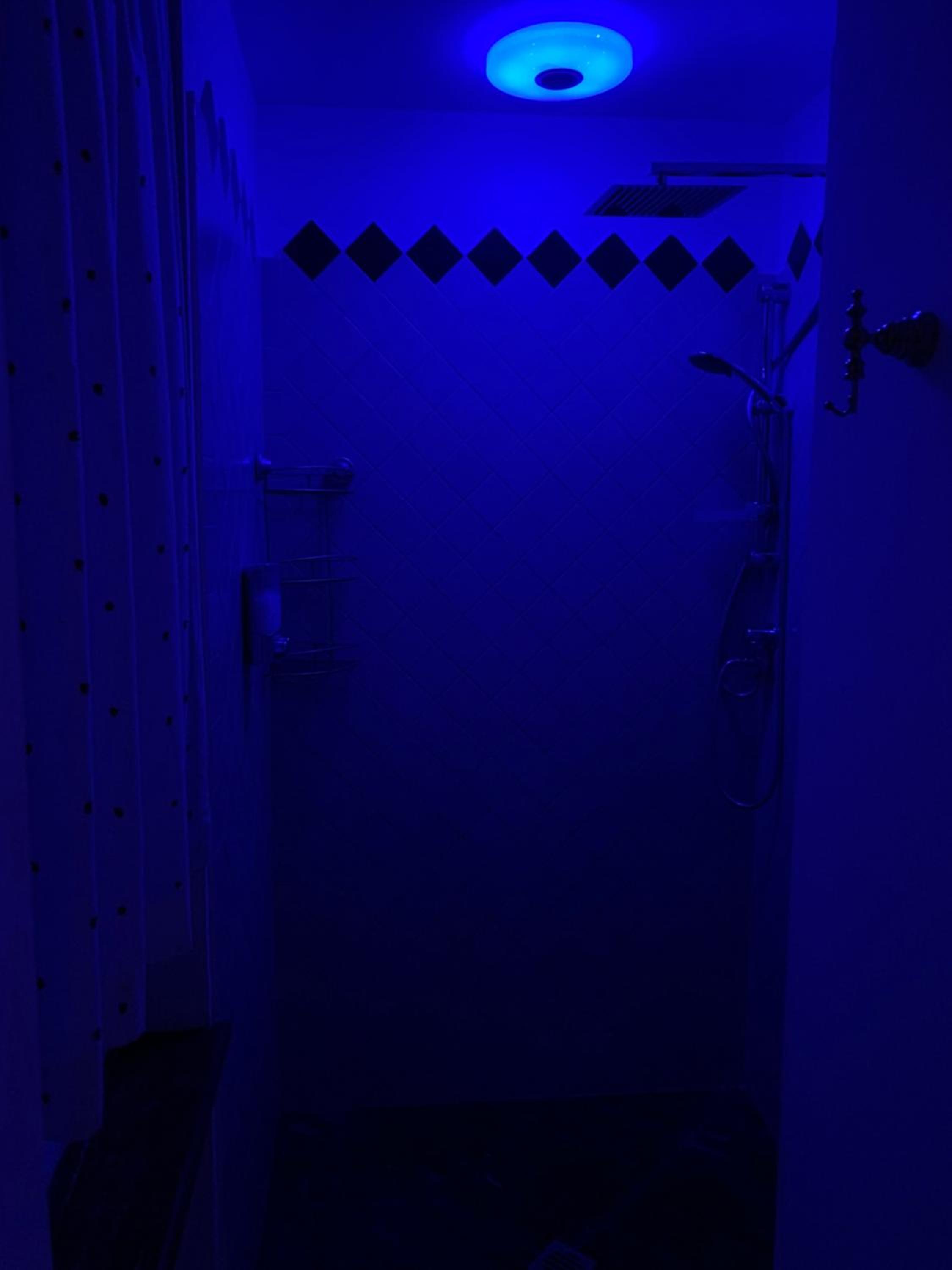 Photo 42