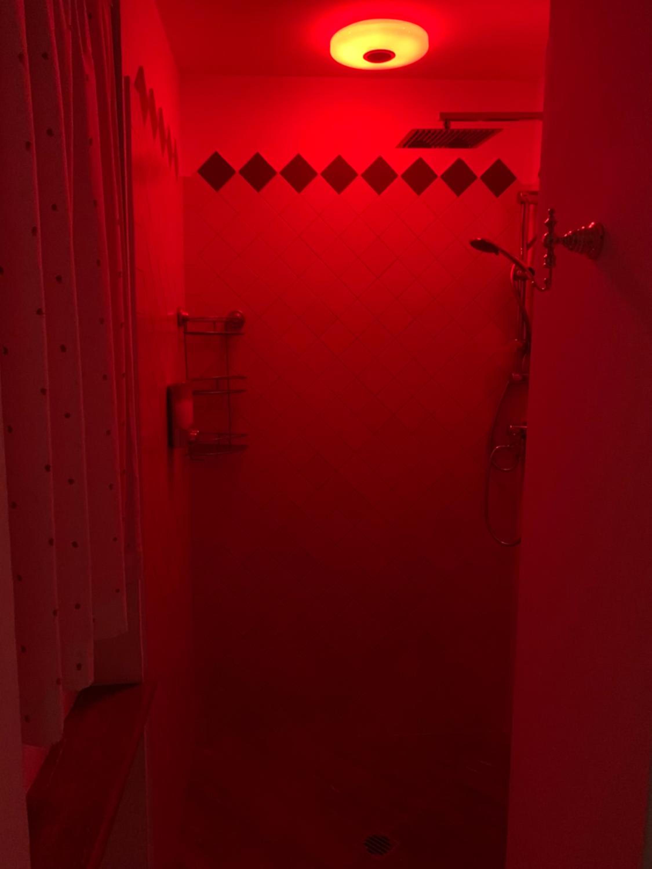 Photo 41