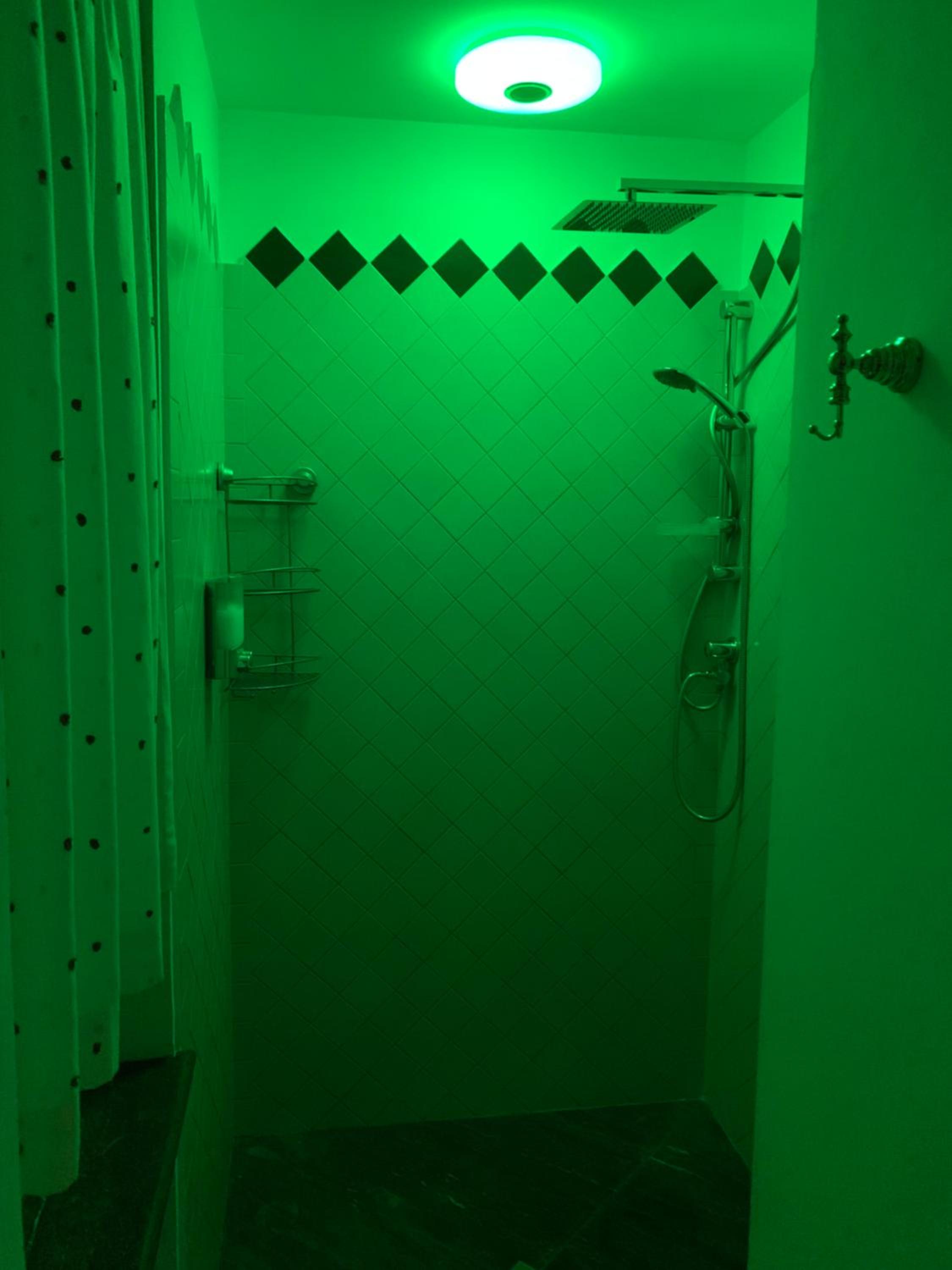 Photo 43